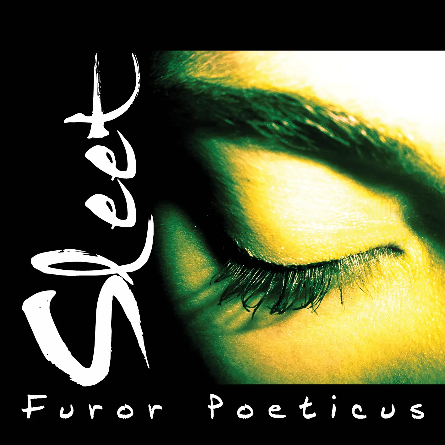 Furor Poeticus